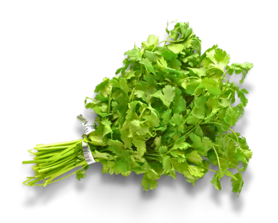 Diseño sin título (76)