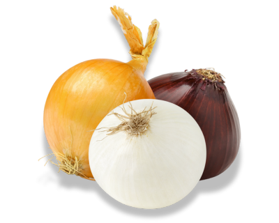 Diseño sin título (77)