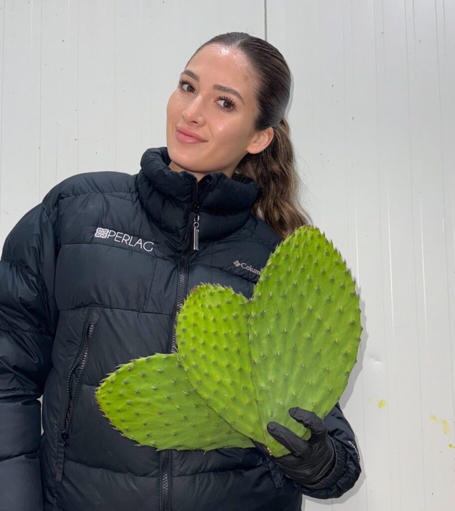 WhatsApp Image 2025-09-23 at 9.50.40 AM